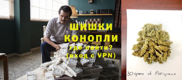 ПСИЛОЦИБИНОВЫЕ ГРИБЫ Покров